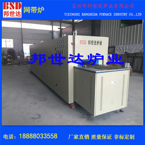 邦世达供应 网带热处理炉 银片还原烘干网带炉