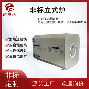 电加热箱 热风循环烘箱 果蔬脱水烘干箱 非标定制