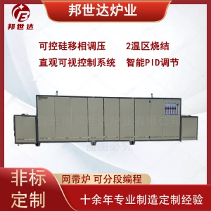 粉体材料网带炉 压电陶瓷烧结炉 烧银气氛网带窑